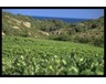 Le laur�at de la 15�me Cuv�e Agropolis 2019 est � Les Amandiers � (2017), Domaine Ch�teau � Marmori�res � AOC La Clape 