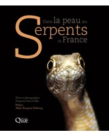 Dans la peau des serpents de France