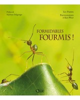 Formidables fourmis !