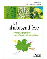  La photosynth�se  - Processus physiques, mol�culaires et physiologiques