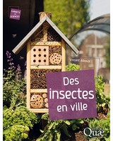 Des insectes en ville