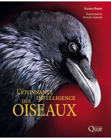  L'�tonnante intelligence des oiseaux 