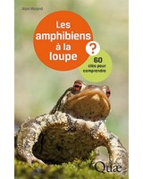 Les amphitiens � la loupe - 60 cl�s pour comprendre