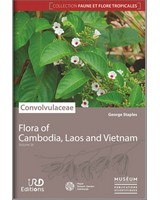 Convolvulaceae - Flora of Cambodia, Laos and Vietnam 
