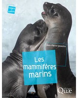 Les mammifères marins