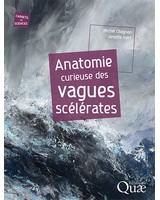 Anatomie curieuse des vagues sc�l�rates