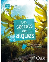 Les secrets des algues