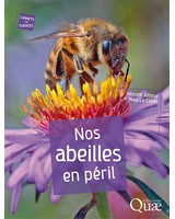 Nos abeilles en péril