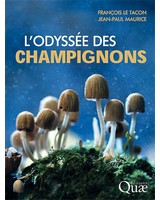 L'odyssée des champignons