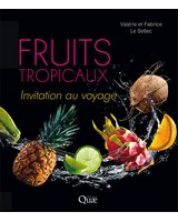 Fruits tropicaux  -  Invitation au voyage