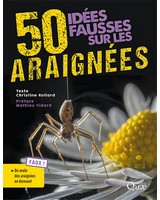 50 id�es fausses sur les araign�es