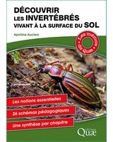 D�couvrir les invert�br�s vivant � la surface du sol