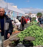 © R. Mahjoubi