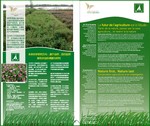 poster arcus