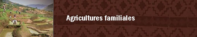 Portail agricultures familiales