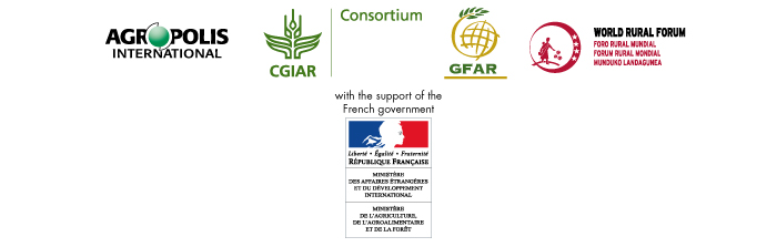 International Organizing Committee